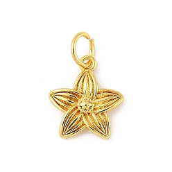 Цветок Латунь прелести, золотые, с целью перехода в кольце, цветок, 14.5x12.5x3 мм, отверстие : 4.4 мм
