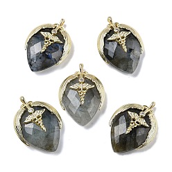 Лабрадорита Природные подвески лабрадорита, С нахождением латуни и кубическим цирконием, подвески в форме клубники, крыло, крестик, граненые, 25.5x18x7.5 мм, отверстие : 1.6 мм