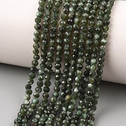 Серафинит Природные SERAPHINITE нитей бисера, граненые, круглые, 3 мм, отверстие : 0.7~0.8 мм, около 125~127 шт / нитка, 14.76''~15.04'' (37.5~38.2 см)
