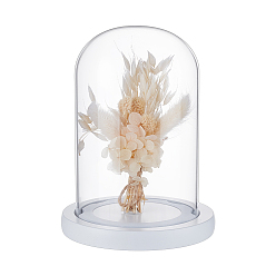 Arch Стеклянный купол, декоративная витрина, Террариум в форме колокольчика на деревянном основании, арка, 125x170 мм