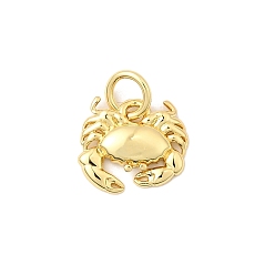 Краб Латунь прелести, долговечный, без свинца и без кадмия, стойки покрытие, с целью перехода в кольце, реальный 18 k позолоченный, краб, 10x11x2 мм, отверстие : 3 мм