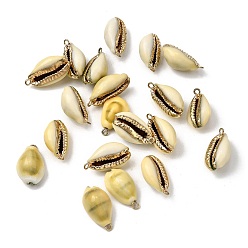 Золотой Подвески из натуральной каури, подвески в форме ракушки с латунной окантовкой, золотые, 22~24x13~13.5x10~10.5 мм, отверстие : 1.8 мм