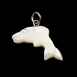 Dolphin Подвески из натуральной белой ракушки и хрустальных стразов, с 304 кольцом из нержавеющей стали, белые, цвет нержавеющей стали, дельфин очарование, 15x26x5 мм, отверстие : 4 мм