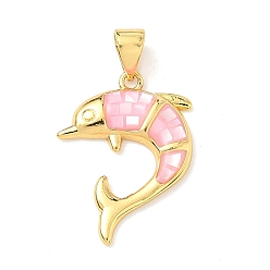 Настоящее золото 18K Латунь эмаль подвески, с естественной оболочке, прелести дельфинов, долговечный, стойки покрытие, без свинца и без кадмия, реальный 18 k позолоченный, 21x16x3 мм, отверстие : 4.5x3.5 мм