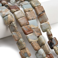Аква Терра Яшма Натуральные бусины из аква терра яшмы, квадратный, 10x10x4~5 мм, отверстие : 1.2 мм, около 41 шт / нитка, 16.06'' (40.8 см)