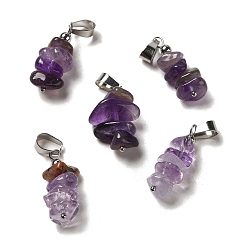 Аметист Подвески из натурального аметиста, Талисманы на удачу с цветными защелками из нержавеющей стали на дужках, 24~27x11~14x7~10 мм, отверстие : 7x4 мм