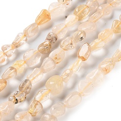 Rutilated Кварц Природного золота Rutilated кварцевые нити бисера, самородки, упавший камень, 4.5~11.5x3~7x3.5~6 мм, отверстие : 1~1.2 мм, около 48~68 шт / нитка, 15.35~15.94'' (39~40.5 см)