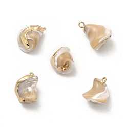 Light Gold Baroque Natural Trochus Shell Pendants, Nuggets Charms, with Brass Loops, Light Gold, 14~18x12~14x12~14mm, Hole: 1.6~1.8mm