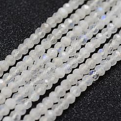 Labradorite Natural Labradorite Bead Strands, Faceted, Round, 3mm, Hole: 0.5mm, about 120~124pcs/strand, 15.8 inch(400mm)