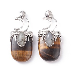 Тигровый глаз Природных тигровый глаз подвески, с латунной фурнитурой , овальные, платина, 44~46x20~21x16~17 мм, отверстие : 5x7 мм