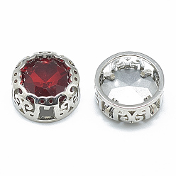 Сиамский Шить на горный хрусталь, стекло горный хрусталь, с латунной фурнитурой платинового цвета, аксессуары для одежды, плоско-круглые, Сиам, 12x6.5 мм