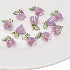 Сливовый 2ПК акриловый искусственный жемчуг, подвески в форме колокольчика и орхидеи, с железной фурнитурой золотого цвета, слива, 14x11 мм