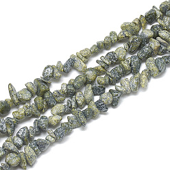 Serpentine Natural Serpentine/Green Lace Stone Beads Strands, Chip, 5~11x3~9x1~9mm, Hole: 1mm, about 200~300pcs/strand, 33.8 inch
