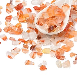 Red Agate Бусины из натурального агата pandahall, нет отверстий / незавершенного, 3x5 х ~ 3.5 mm, 12500 шт / 1000 г