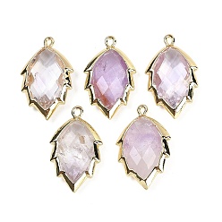 Аметист Подвески из натурального аметиста в форме листа, стойки обшивки латунные прелести, золотые, 23x13.5x5.5 мм, отверстие : 1.2 мм