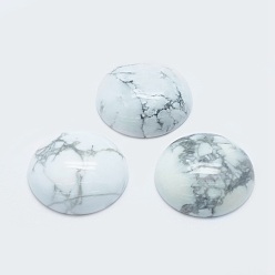 Говлит Природные кабошонов Говлит, полукруглый, 24.5x7~8 мм