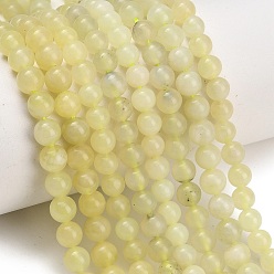 New Jade Natural New Jade Beads Strands, Smooth Round, Grade AB, 6mm, Hole: 1mm, about 62pcs/strand, 14.69''(37.3cm)