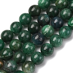 Fuchsite Бусины из натурального фуксита, круглые, 8 мм, отверстие : 1 мм, около 47 шт / нитка, 38 см