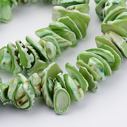 Lime Natural Shell Bead Strands, Dyed, Nuggets, Lime, 10~20x8~12x3~6mm, Hole: 1mm, about 15.7 inch