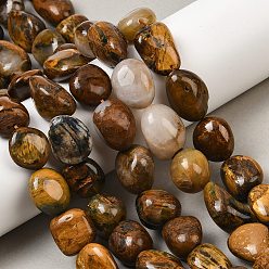 Петерсит Натуральные пиеттеритные бусины, самородки, упавший камень, 15~22x13~15x9~14 мм, отверстие : 0.9~1 мм, около 23~24 шт / нитка, 15.87~16.02'' (40.3~40.7 см)