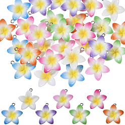 (52) Непрозрачная лаванда 28 шт. 7 подвески из непрозрачной смолы, окрашенные методом запекания, Цветок лилии, с платиновой петлей, два тона, разноцветные, 29.5x28x6.5 мм, отверстие : 1.5 мм, 4 шт / цвет