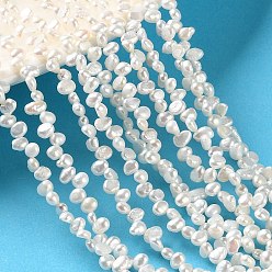 Dentelle Vieille Brins de perles de culture d'eau douce naturelles, top foré, deux faces polies, Note 5 un, vieille dentelle, 3~4mm, Trou: 0.5mm, Environ 100~121 pcs/chapelet, 14.57'' (37 cm)