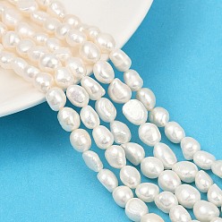 Морская Ракушка Нити из натурального культивированного пресноводного жемчуга, двух сторон полированной, класс 3а+, цвет морской раковины, 7~8 мм, отверстие : 0.6 мм, около 36~37 шт / нитка, 13.54~13.82'' (34.4~35.1 см)