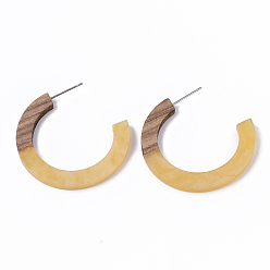 Хаки Серьги-гвоздики из смолы и ореха, серьги-кольца, имитация драгоценных камней, с 304 штифта из нержавеющей стали, светлый хаки, 35x35x4 мм, штифты : 0.7 мм