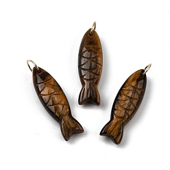 Тигровый глаз Резные подвески из натурального тигрового глаза, рыбы прелести, с 304 кольцами из нержавеющей стали, золотые, 33.5~34.5x10.5x7~7.5 мм, отверстие : 7 мм