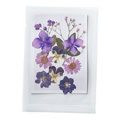 Dried Flower Прессованные сушеные цветы, для мобильного телефона, фоторамки, скрапбукинг diy и цветочные декоры из искусственной смолы, 120x85x0.3 мм