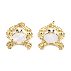 Морская Ракушка Латунные подвески, с оболочкой, реальный 18 k позолоченный, краб, цвет морской раковины, 21.5x21x2.5 мм, отверстие : 3 мм