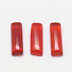 Red Dyed Rectangle Natural Agate Cabochons, Red, 10x3x2mm