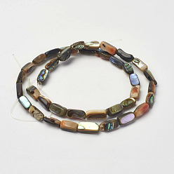 Раковина Природные пауа стеклянные бусы нити, прямоугольные, 8~11x5x3~4 мм, отверстие : 1 мм, около 38 шт / нитка, 15.7 дюйм (40 см)