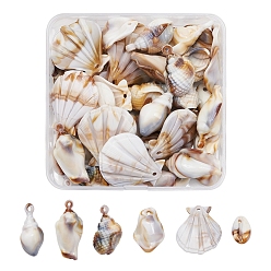 Floral White Acrylic Pendants,  Imitation Shell & Pearl Style, Shell, Floral White, 25x17x5mm, Hole: 1.6mm, 5.5g, about 8pcs