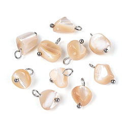 Нержавеющая Сталь Цвет Натуральные трохус ракушки самородки амулеты, с 304 петлями из нержавеющей стали, песчаный коричневый, цвет нержавеющей стали, 12.5~14.5x7.5~8.5x4.5~5.5 мм, отверстие : 1.8~2 мм