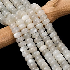 White Moonstone Натуральный белый лунный камень бисер пряди, рондель, сгладить, 8.5x5~5.5 мм, отверстие : 0.8 мм, около 69~72 шт / нитка, 14.96''~15.35'' (38~39 см)