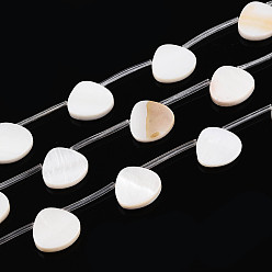 Морская Ракушка Естественных пресноводных оболочки бисер нитей, слеза, Топ пробуренной, с пластиковыми трубчатыми бусинами, цвет морской раковины, 12~12.5x13~13.5x3~3.5 мм, отверстие : 0.4 мм, около 14 шт / нитка, 14.17~15.08''' (36~38.3 см)