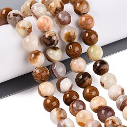 Деревянный Кружевный Камень Натуральное дерево каменным кружевом бисер нитей, круглые, 10~10.5 мм, отверстие : 1 мм, около 39~40 шт / нитка, 15.43~15.91'' (39.2~40.4 см)