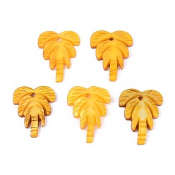 Золотистый Резные подвески из натуральных пресноводных ракушек, очарование кокосового дерева, окрашенные, золотые, 18~21x14.5~15.5x1.5~2.5 мм, отверстие : 1.5 мм