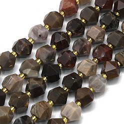 Деревянное Окаменение Природные окаменелое дерево бисер пряди, граненые, восьмиугольный, 9~10.5x9~10.5x7.5~8.5 мм, отверстие : 1 мм, около 36~40 шт / нитка, 15.35~15.55 дюйм (39~39.5 см)