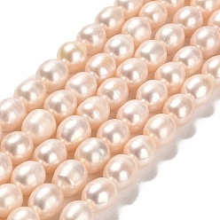 PeachPuff Natural Cultured Freshwater Pearl Beads Strands, Rice, Grade 2A, PeachPuff, 10x9mm, Hole: 0.5mm, about 38~39pcs/strand, 15.35''(39cm)