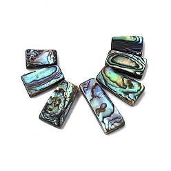 Разноцветный Природные пауа стеклянные бусы нити, трапециевидные, Топ пробуренной, красочный, 15.5~28x10~11.5x4~5 мм, отверстие : 0.8~0.9 мм, около 7 шт / нитка, 2.76'' (7 см)