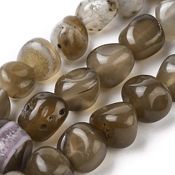 Коричневый Природный агат бисер нитей, упавший камень, окрашенная и подогревом, самородки, кофе, 8~16x9~13x9~12, мм, отверстие : 1.4 мм, около 36~42 шт / нитка, 14.96 дюйм (38 см)
