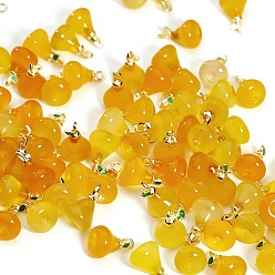 Pear Подвески из натурального агата (окрашенного и нагретого), Подвески в виде фруктов с позолоченным металлическим листом, груша, 16x10.5 мм, отверстие : 2.5x2 мм