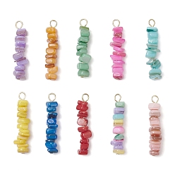 Золотой 10 шт. 10 цвета, натуральные окрашенные пресноводные ракушки, подвески из бисера, с 304 петлями из нержавеющей стали, разноцветные, золотые, 28~28.5x5~6x5~6 мм, отверстие : 2.8 мм, 1 шт / цвет