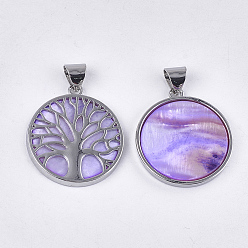 Lilac Freshwater Shell Pendants, with Alloy Findings, Dyed, Flat Round with Tree of Life, Platinum, Lilac, 37.5x33.5x3mm, Hole: 6x8.5mm