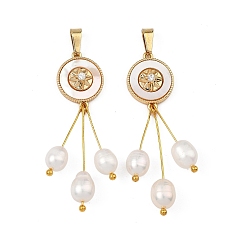 Golden Natural Cultured Freshwater Pearl Rice Tassel Pendants, Brass Micro Pave Clear Cubic Zirconia and Natural Shell Flat Round Charms, White, Golden, 50x12x6mm, Hole: 7.5x6mm