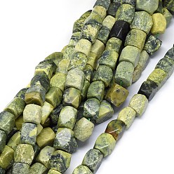 Serpentine Natural Serpentine Beads Strands, Faceted, Cuboid, 14~21x12~17mm, Hole: 1.2mm, about 21~25pcs/strand, 15.3 inch