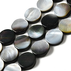 черная губная раковина Натуральный черный оболочки губ бисер нитей, плоско-круглые, 12.5x3.5~4 мм, отверстие : 1 мм, около 32 шт / нитка, 15.59'' (39.6 см)