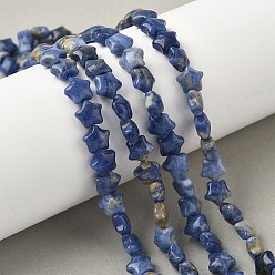 Содалитовое Нити бусин из натурального содалита в форме звезды, 7.5x8x4.5 мм, отверстие : 0.8 мм, около 54~56 шт / нитка, 15.12''~15.20'' (38.4~38.6 см)